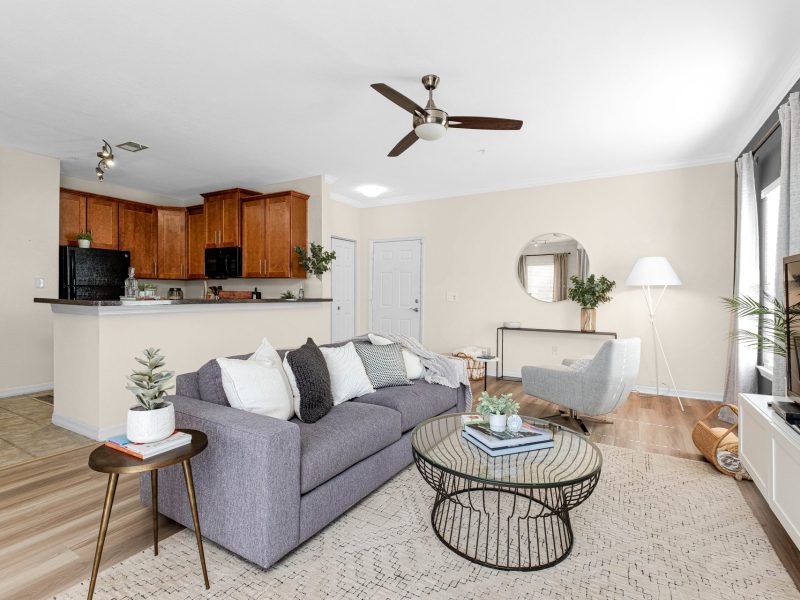 Modern apartment living room with gray sofa, coffee table, and open kitchen at TGM University Park.