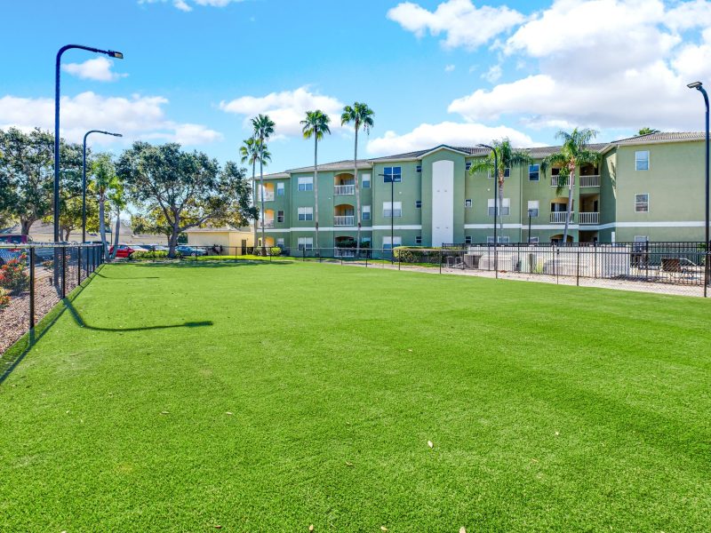 Outdoor green space with palm trees at TGM University Park apartments.