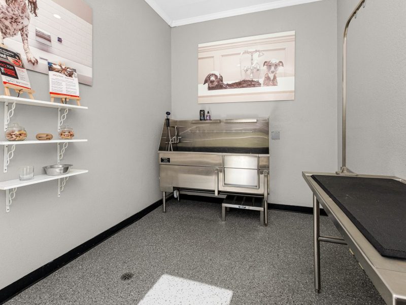 Pet grooming room with table, sink, and supplies at TGM University Park.