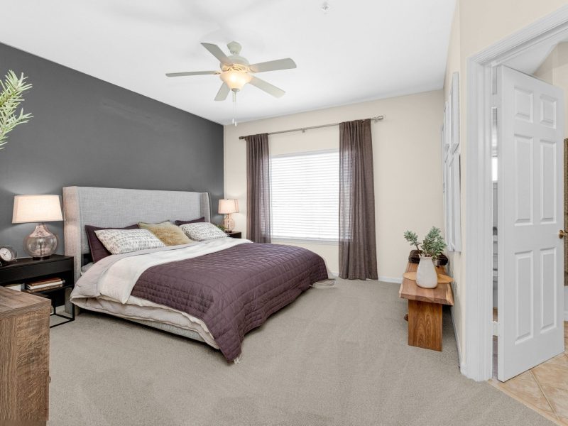 Modern bedroom with king bed, dark accent wall, and cozy decor at TGM University Park.