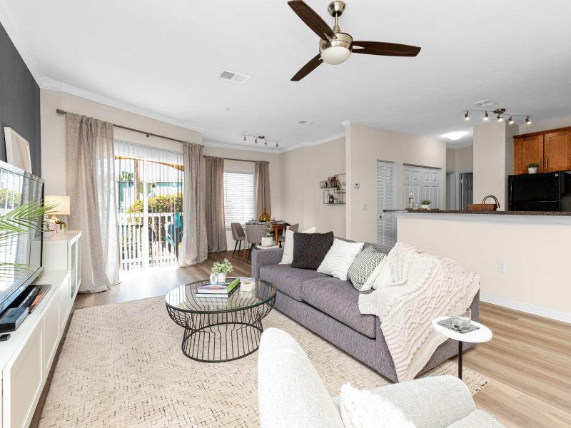 Modern living room with gray sofa and open kitchen at TGM University Park apartments.