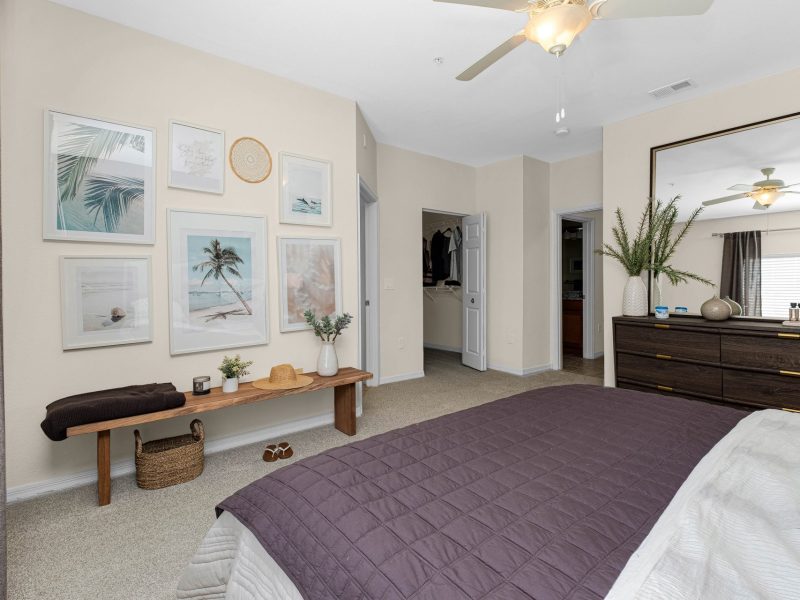 Cozy TGM University Park bedroom with purple bedding, wooden bench, dresser, and wall art.
